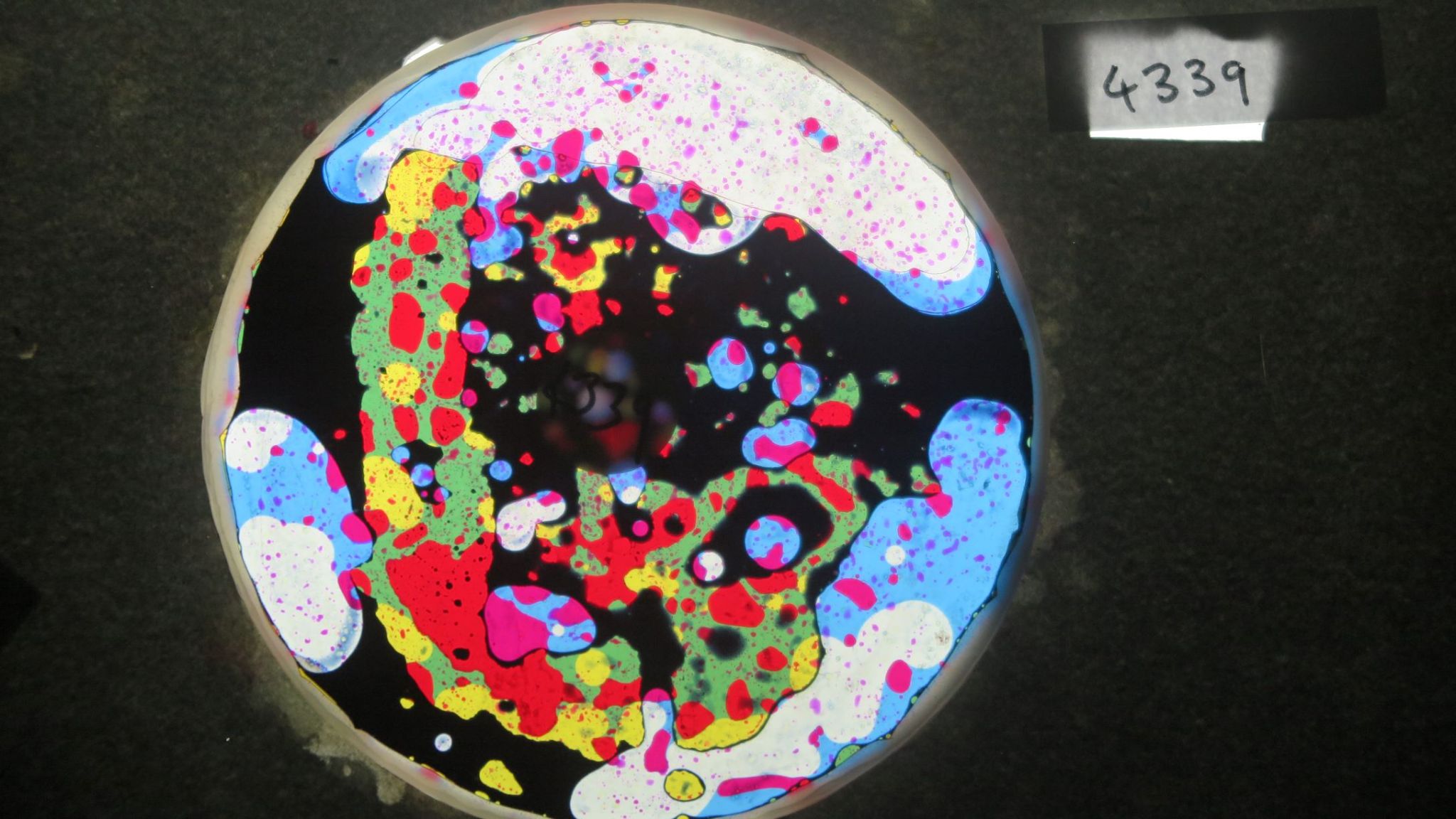 BV4339 bubble vision oil wheel